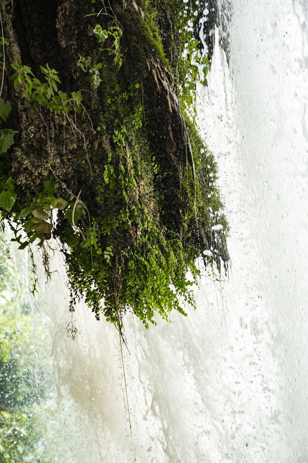 Lush green moss and vegetation grows along a rocky cliff face beside a misty waterfall.