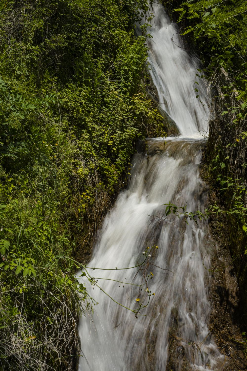 A cascading waterfall flows down a rocky cliff face surrounded by lush green foliage in a forest setting.
