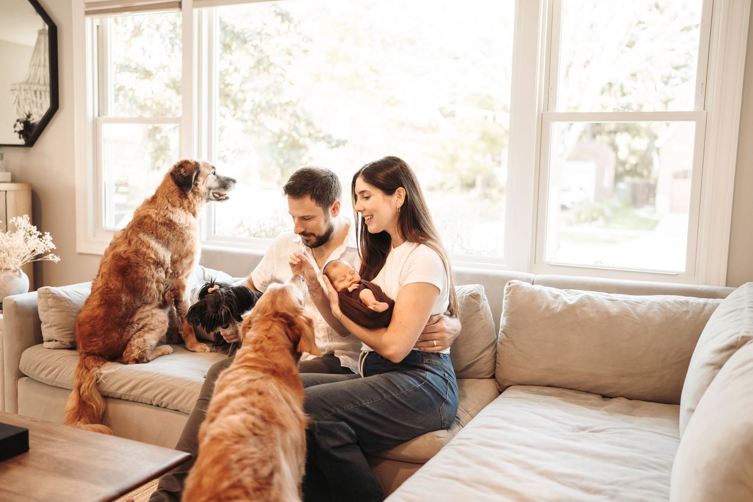 A family and their golden retriever dog share tender moments together on a couch in a bright, sunlit living room.