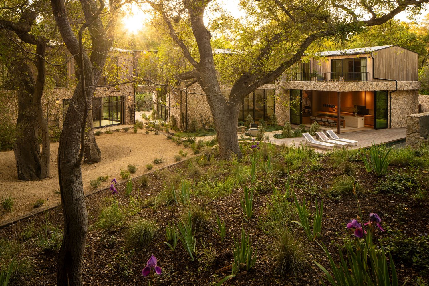 Luxury treehouse cabins nestled among oak trees at sunset with warm golden light filtering through branches.
