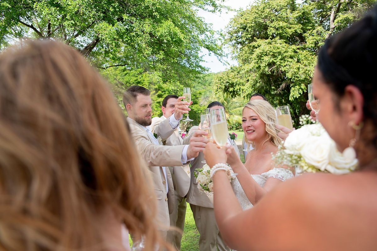 Wedding party toasting with champagne glasses outdoors, bride in white gown surrounded by guests in elegant attire amid lush greenery.