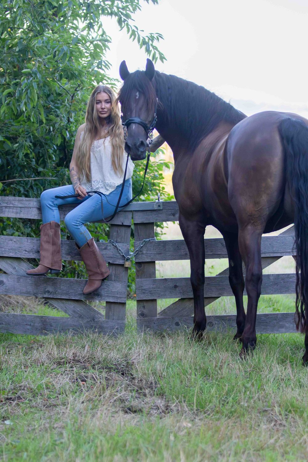 meisje op hek met zwart paard