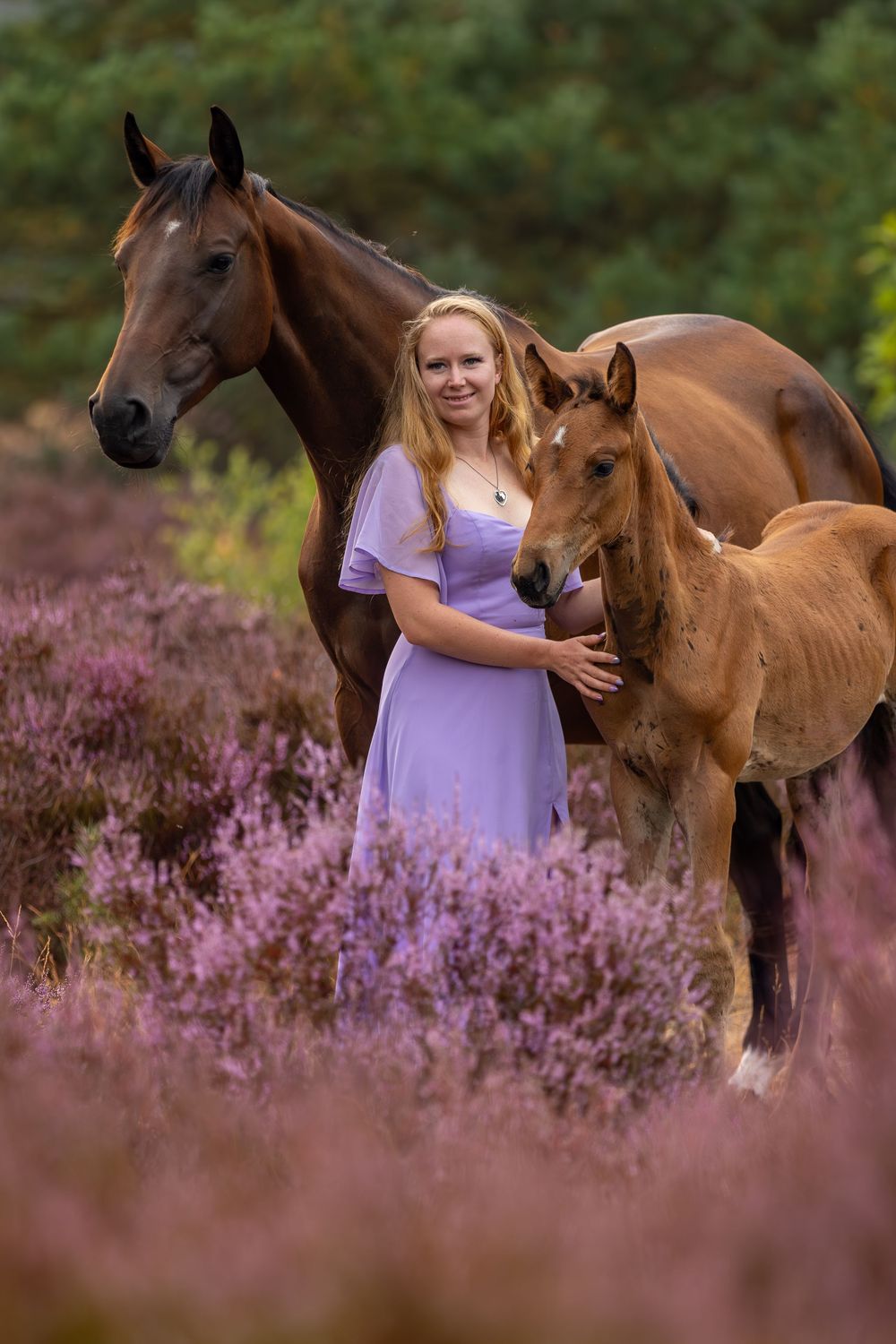 Vrouw in een lange roze jurk staat met twee bruine paarden tussen de paars bloeiende heide.