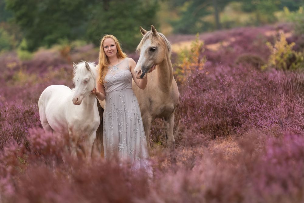 Vrouw in een lange roze jurk staat met twee lichte paarden tussen de paars bloeiende heide.