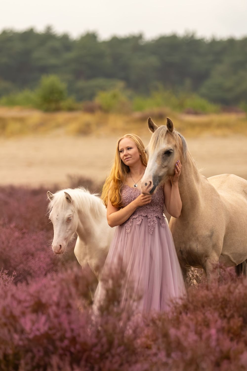 Vrouw in een lange roze jurk staat met twee lichte paarden tussen de paars bloeiende heide.