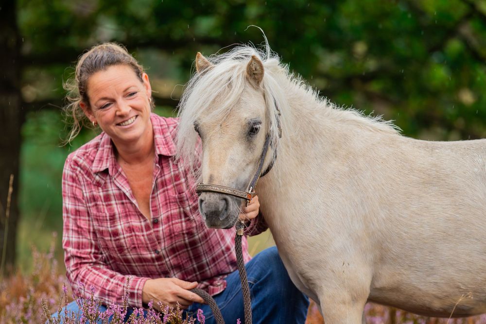 Kleine pony met vrouw met roze shirt