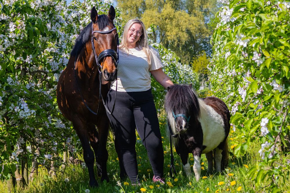 Paardenfotografie