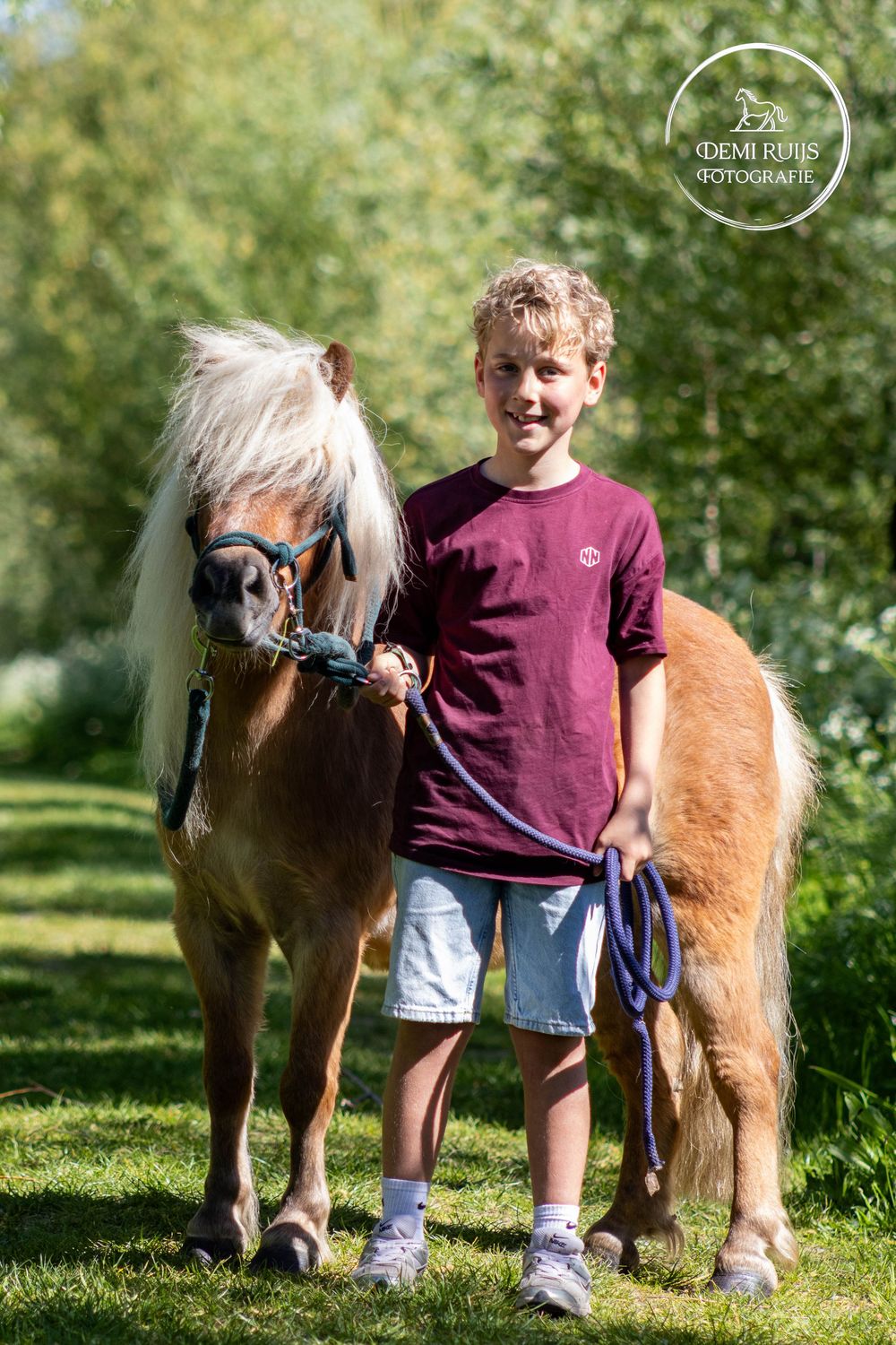 Paardenfotografie