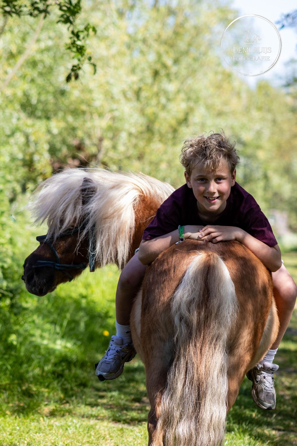 Paardenfotografie
