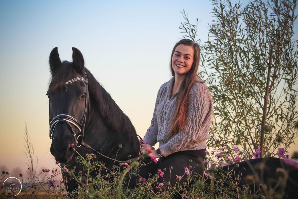 Paardenfotografie