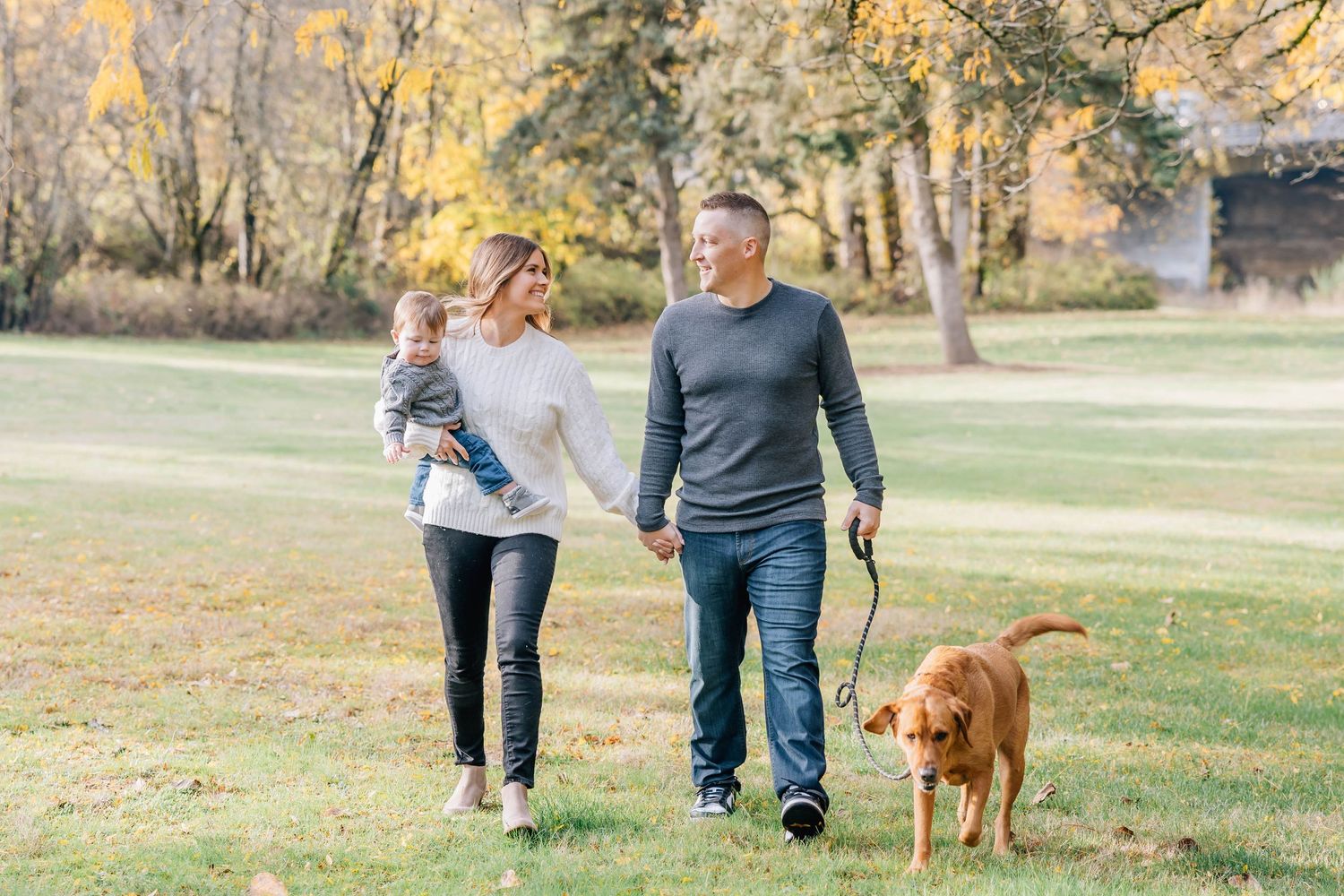 Young family walking golden retriever on leash through a sunny autumn park together.