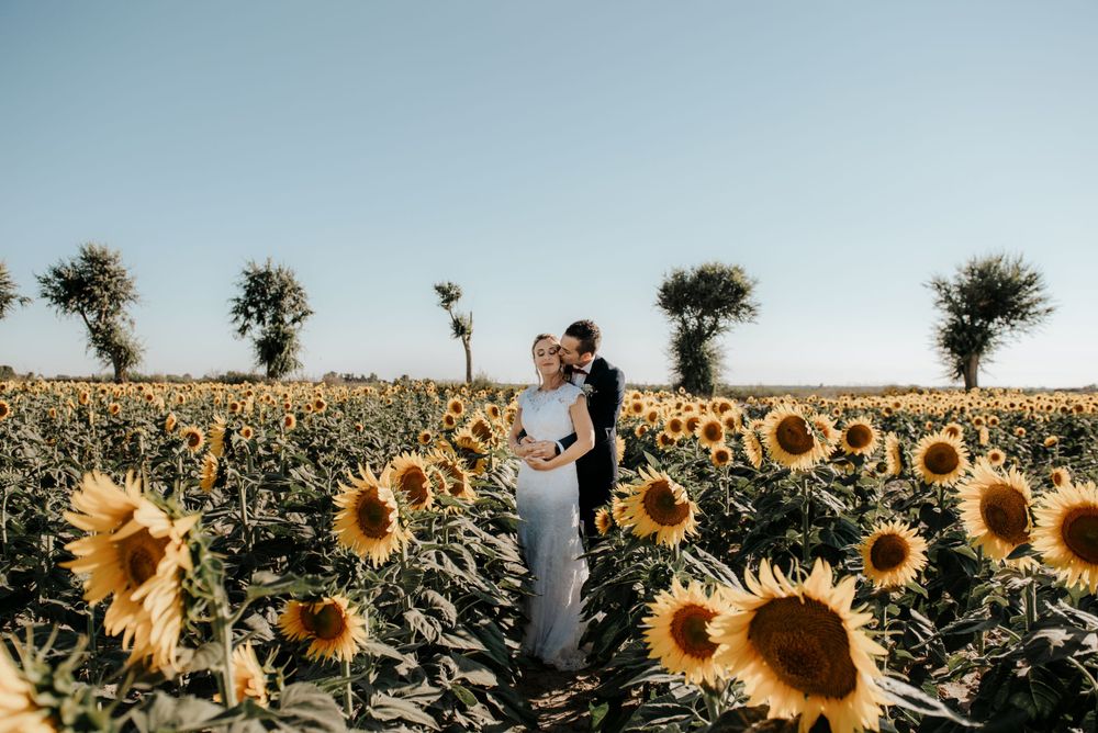 Foto di coppia di sposi per matrimonio toscana Viareggio campo di girasoli