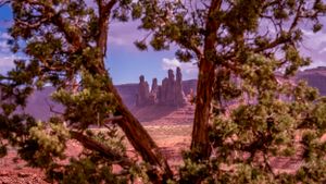 Desert rock formations visible through natural frame of tree branches at sunset.