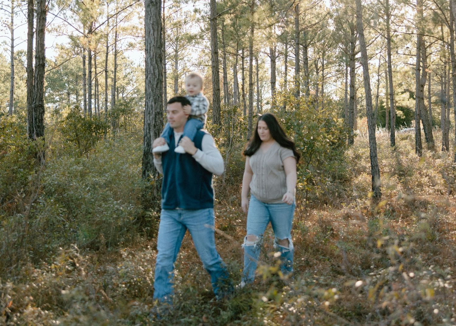 People walking through a sunlit autumn forest with tall pine trees and golden afternoon light filtering through branches.