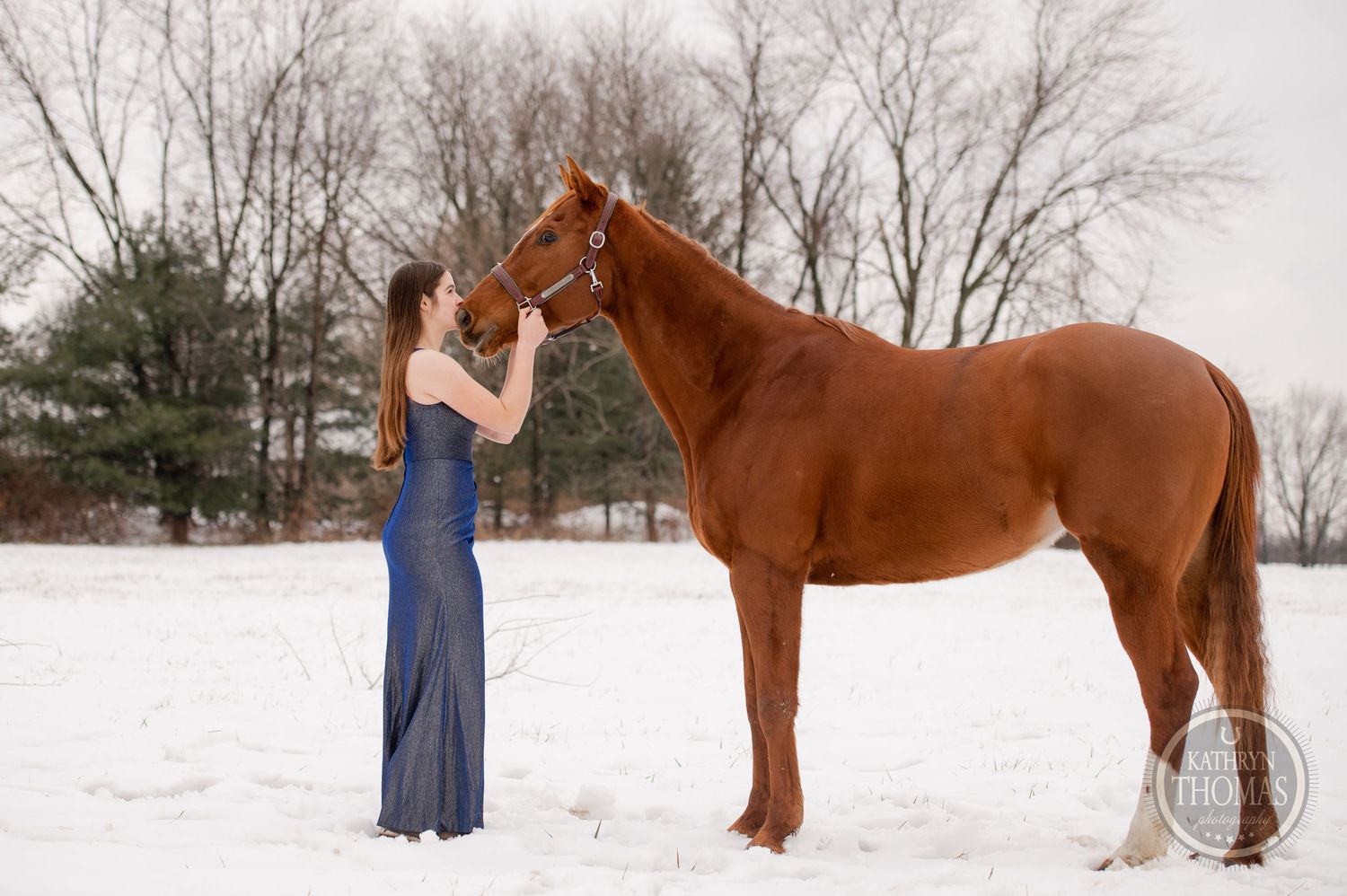 A chestnut horse stands calmly in deep snow while receiving attention.