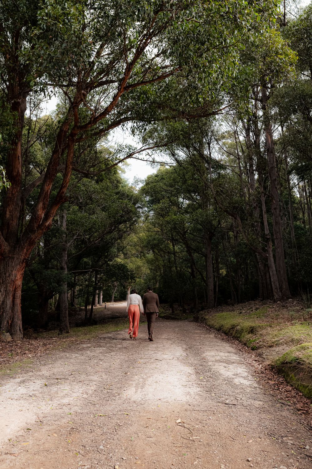 A couple walking hand in hand down a tree-lined dirt path in a serene forest setting.