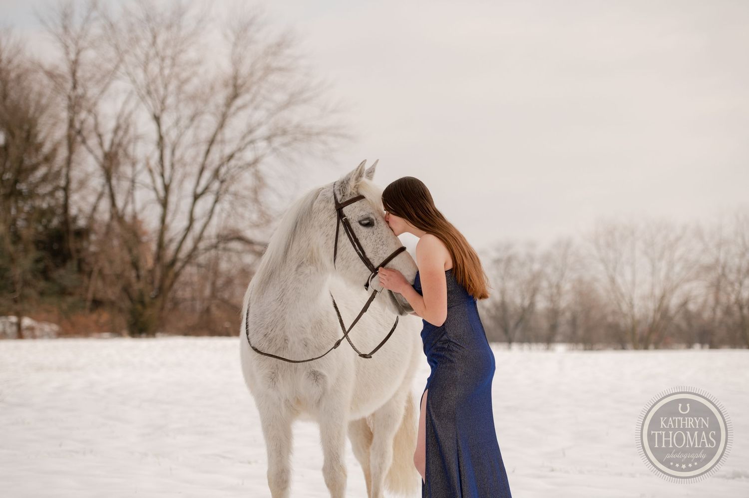 A tender moment between a person in a navy dress and a white horse in a snowy setting.