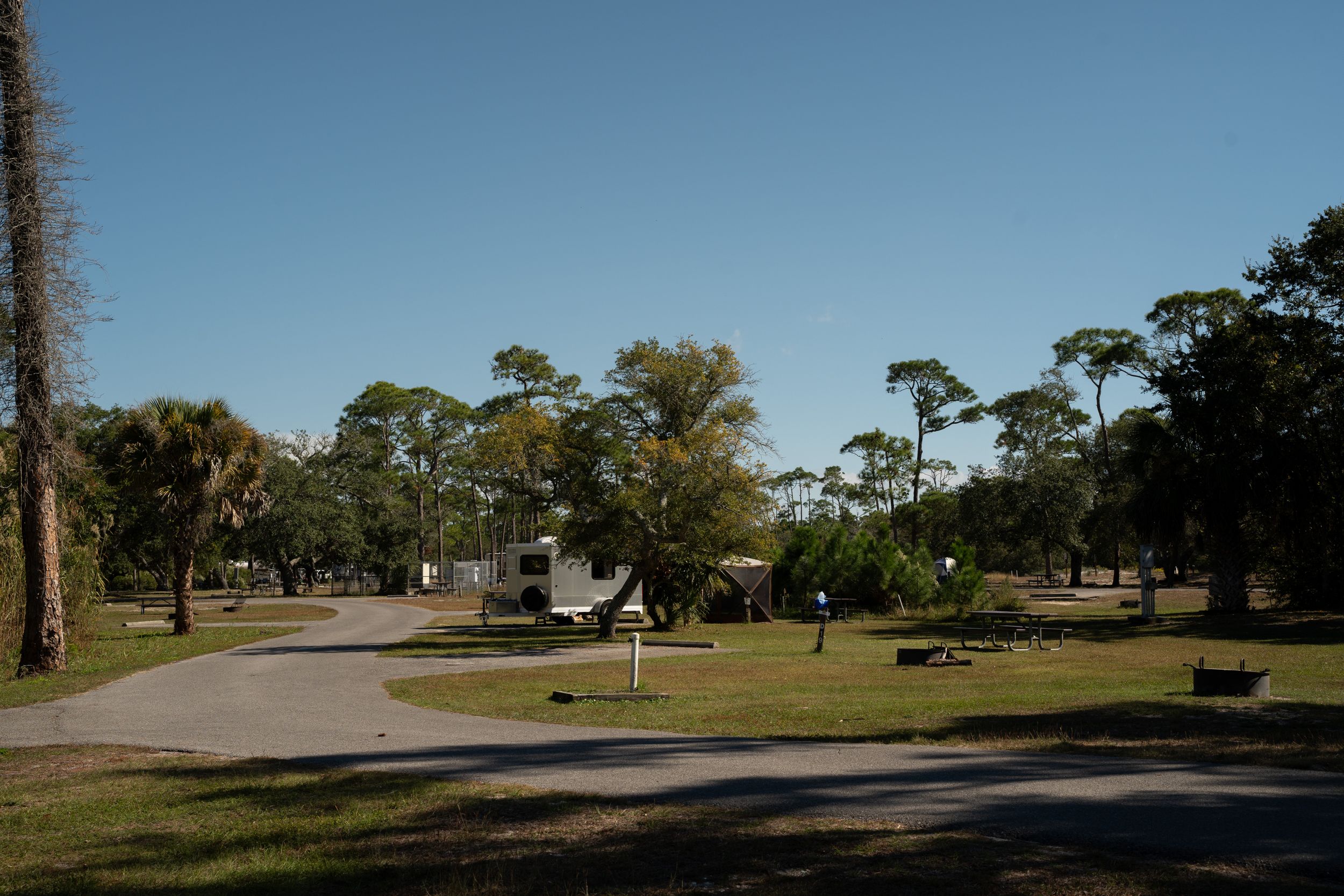 A curved road winds through a sunny campground with RV sites, tall pine trees, and green grass under blue skies.