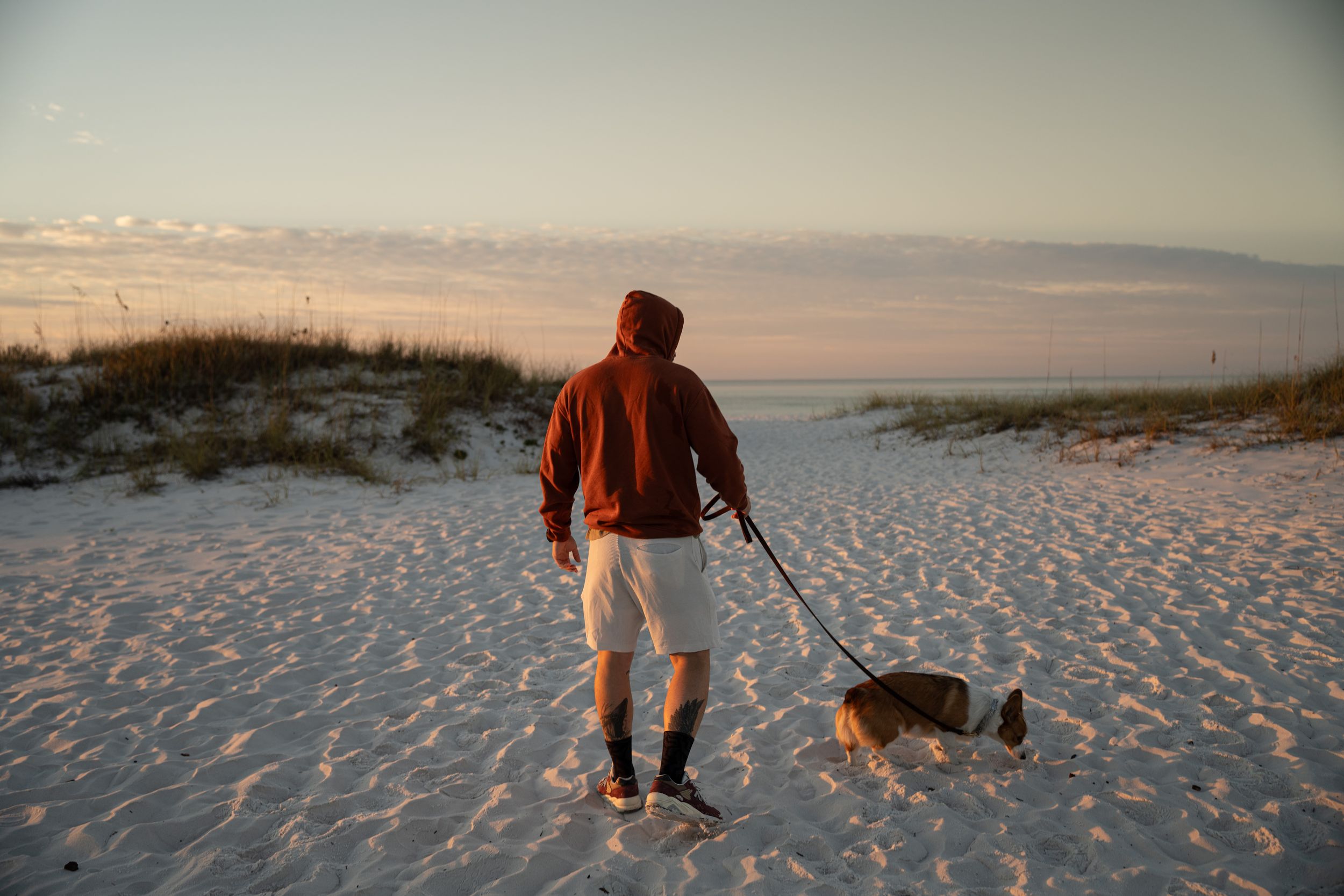 Person in orange jacket walks dog along snowy sand dunes at sunset.