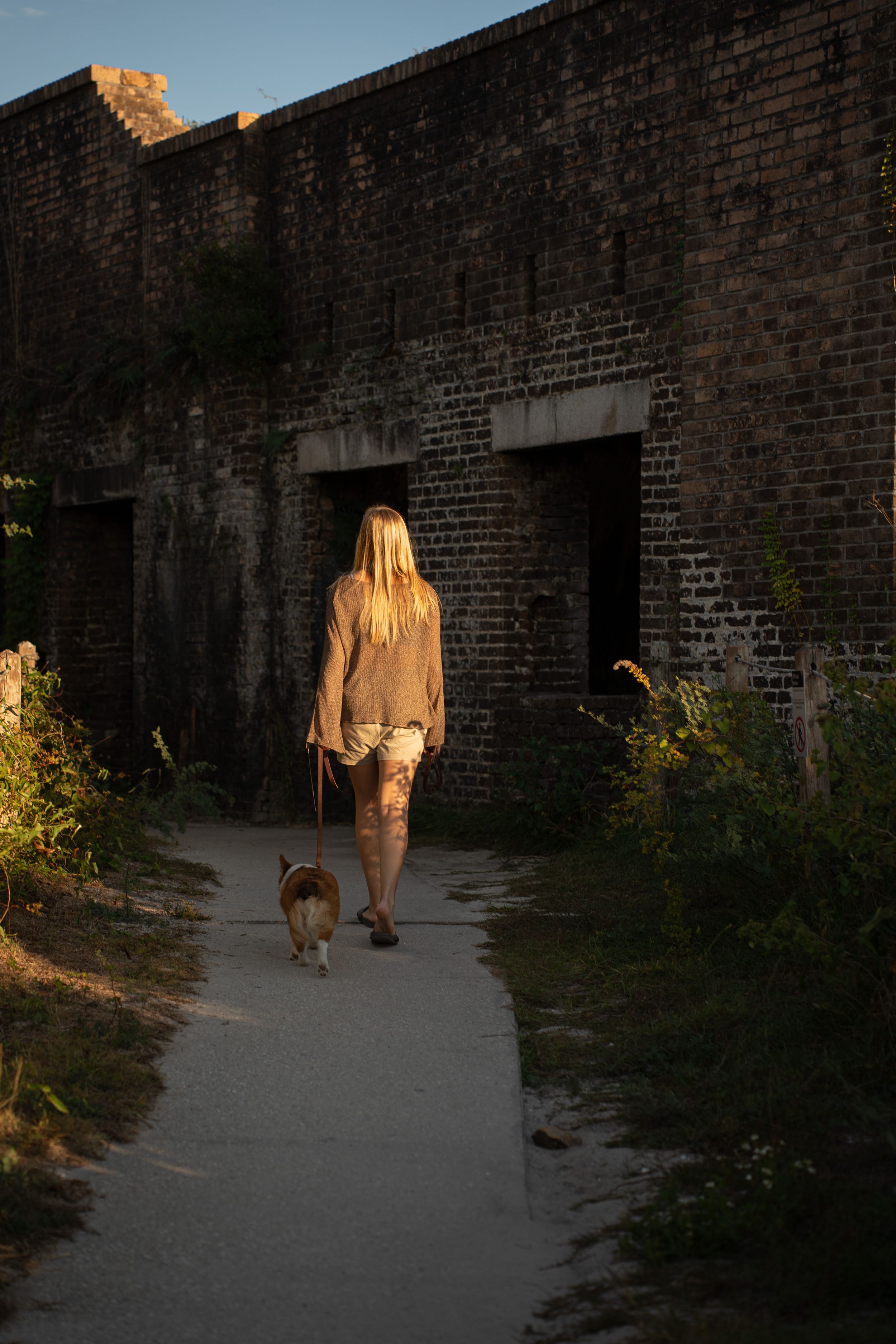 A figure in golden light walks with their dog along a path beside an old brick wall as sunlight illuminates the scene.