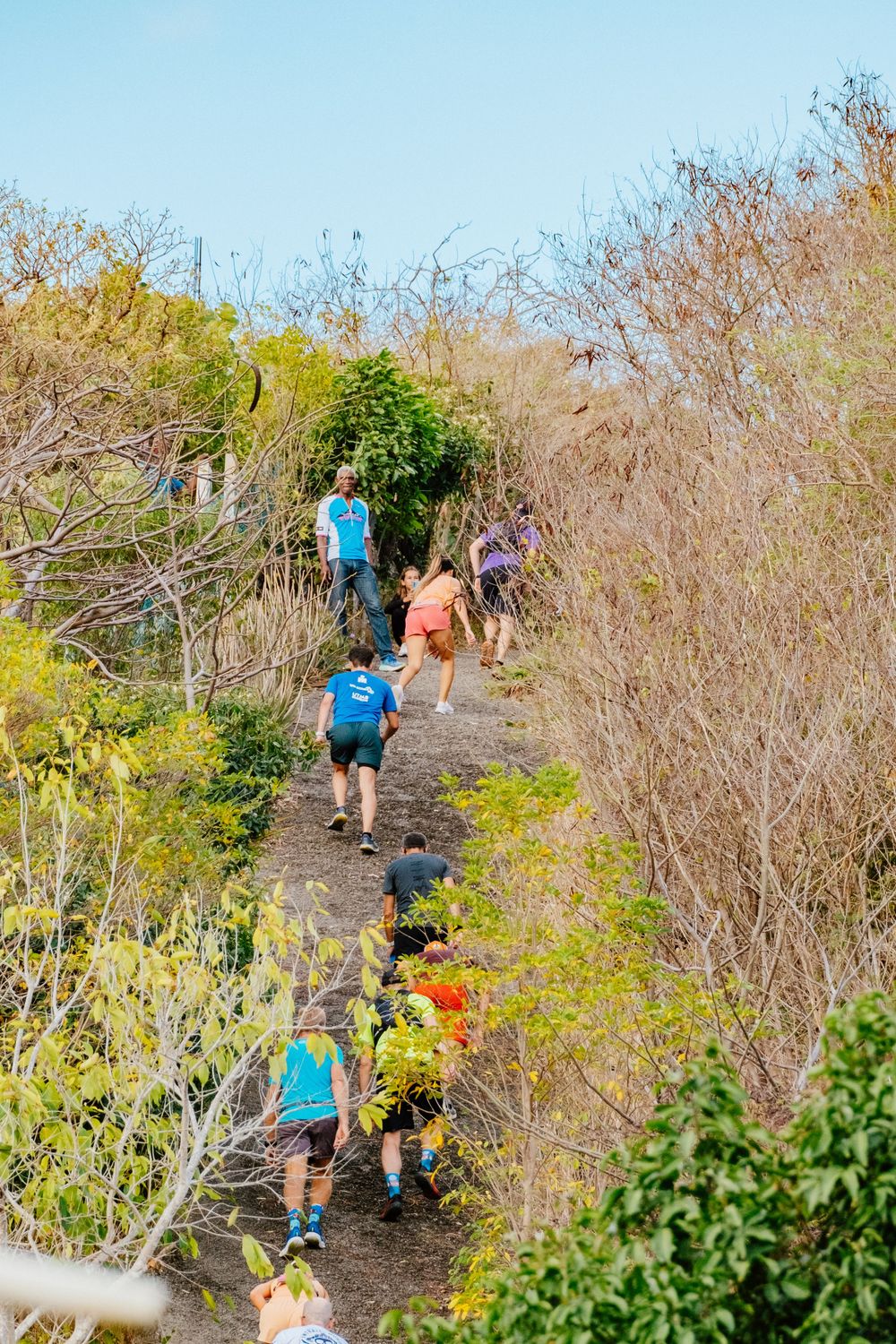 Hikers climbing up a steep dirt trail through dense vegetation and brush on a sunny day.