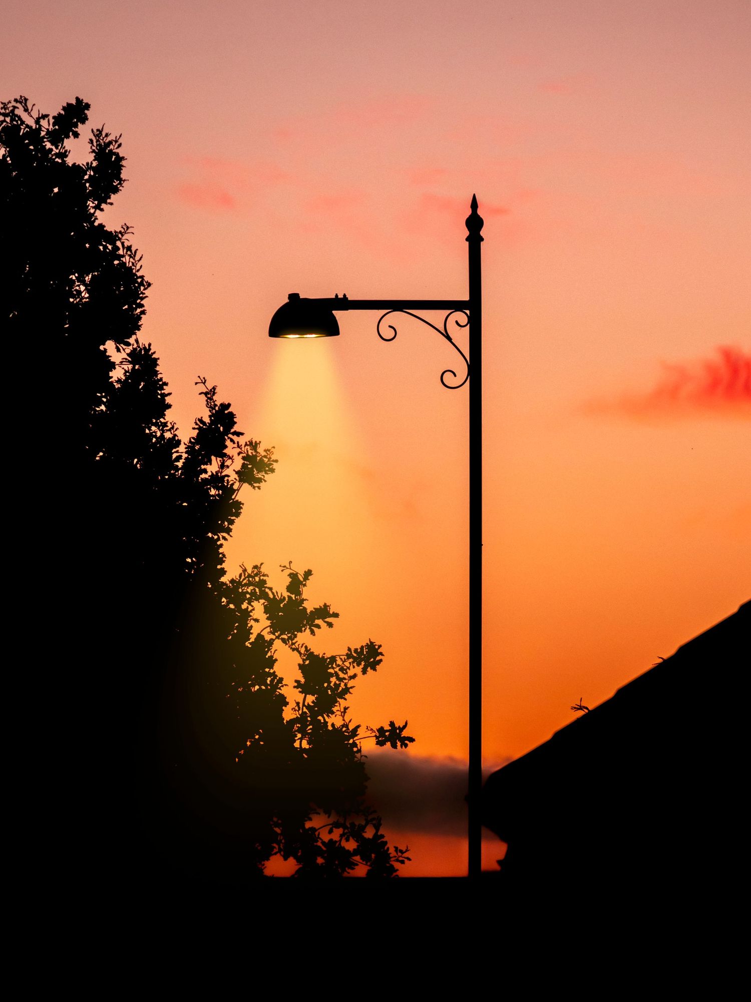 Silhouetted streetlight and tree branches against a vivid orange and pink sunset sky.
