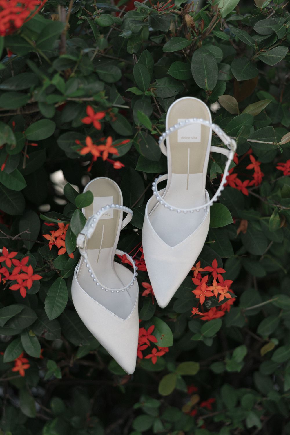 Elegant white pointed-toe bridal heels displayed against lush green foliage with delicate red flowers in the background.