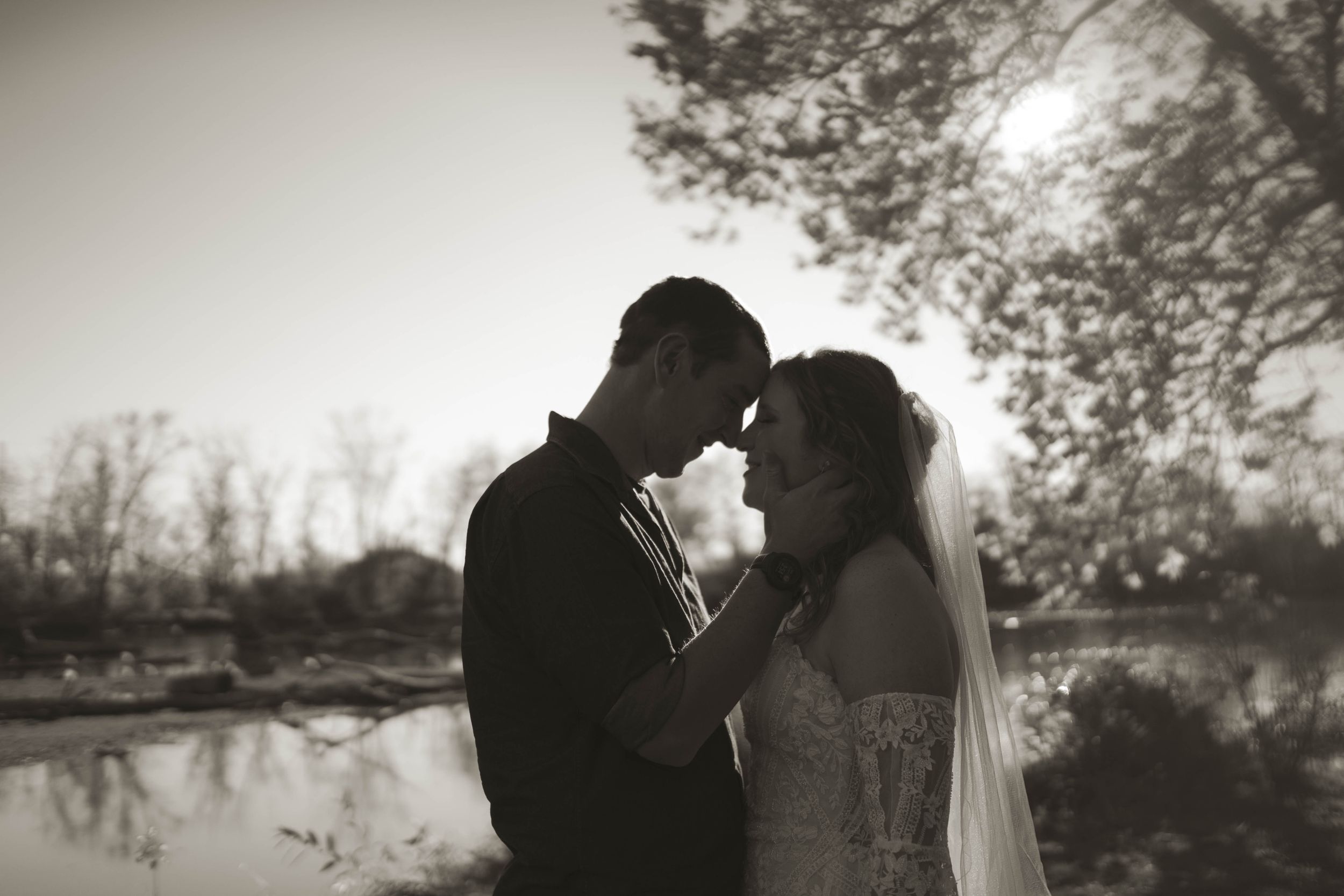 Wedding couple embraces in silhouette against autumn trees during sunset.