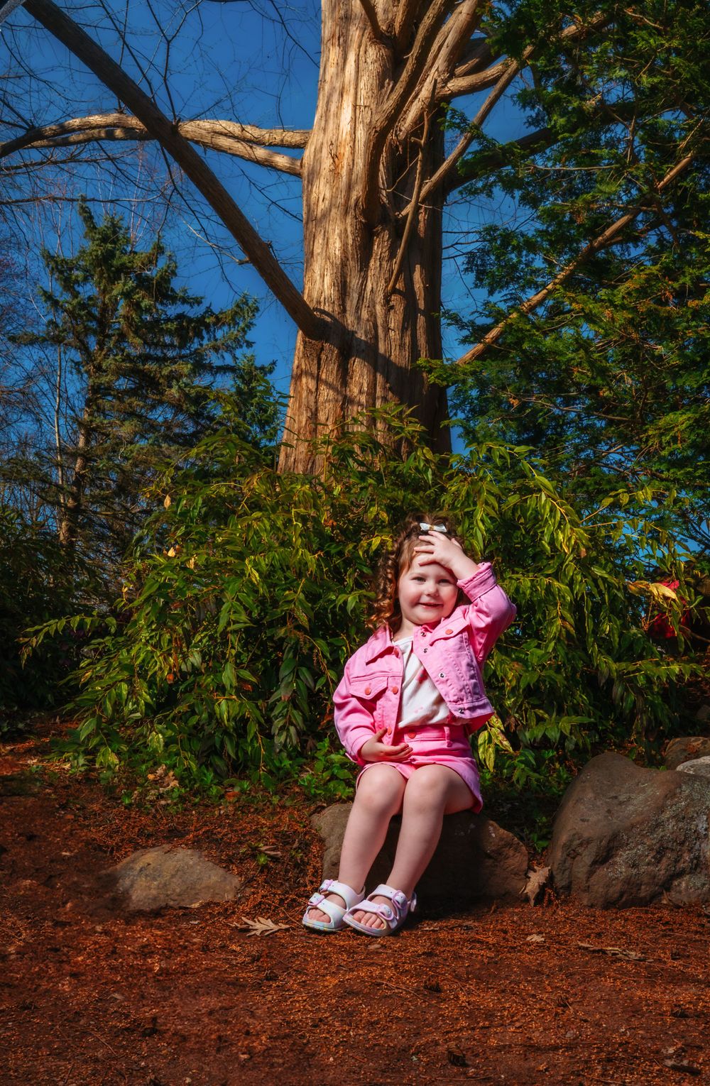 A child in pink clothing sitting by a large tree trunk against a bright blue sky.