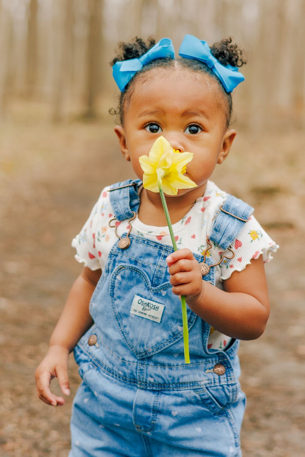 Indianapolis family photographer