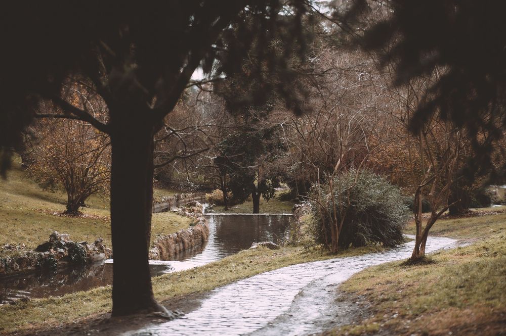 Pedida de mano Parque del Oeste Madrid