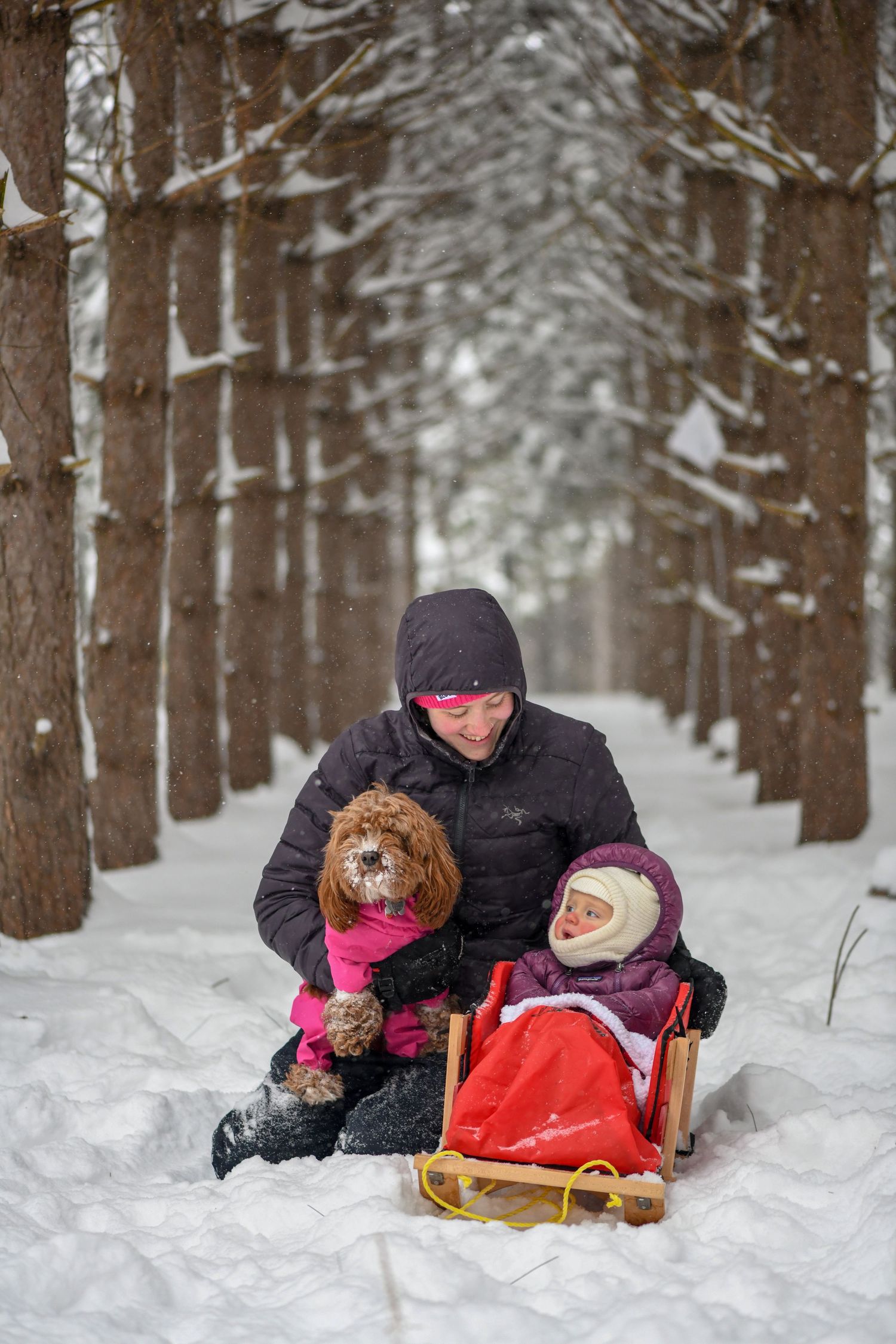 Person with dog and child on a wooden sled in a snowy winter forest lined with tall trees.