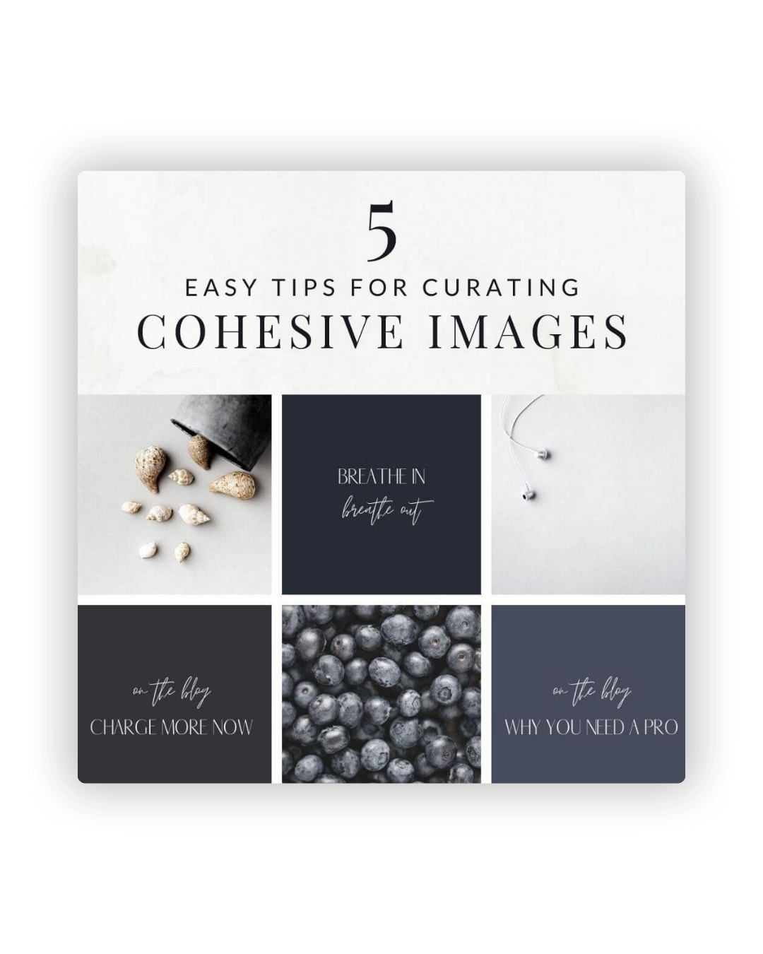 A minimalist social media collage grid featuring monochrome text, blueberries, and white decorative elements on a dark background.