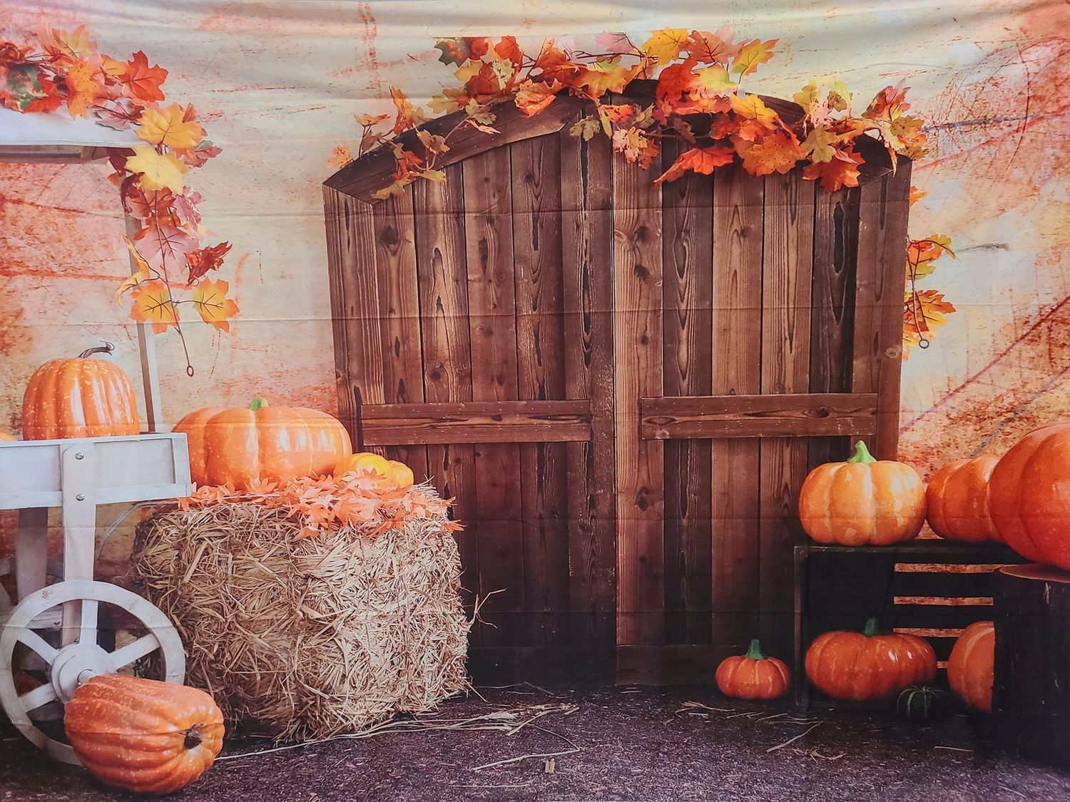 Fall, Autumn, Pumpkins