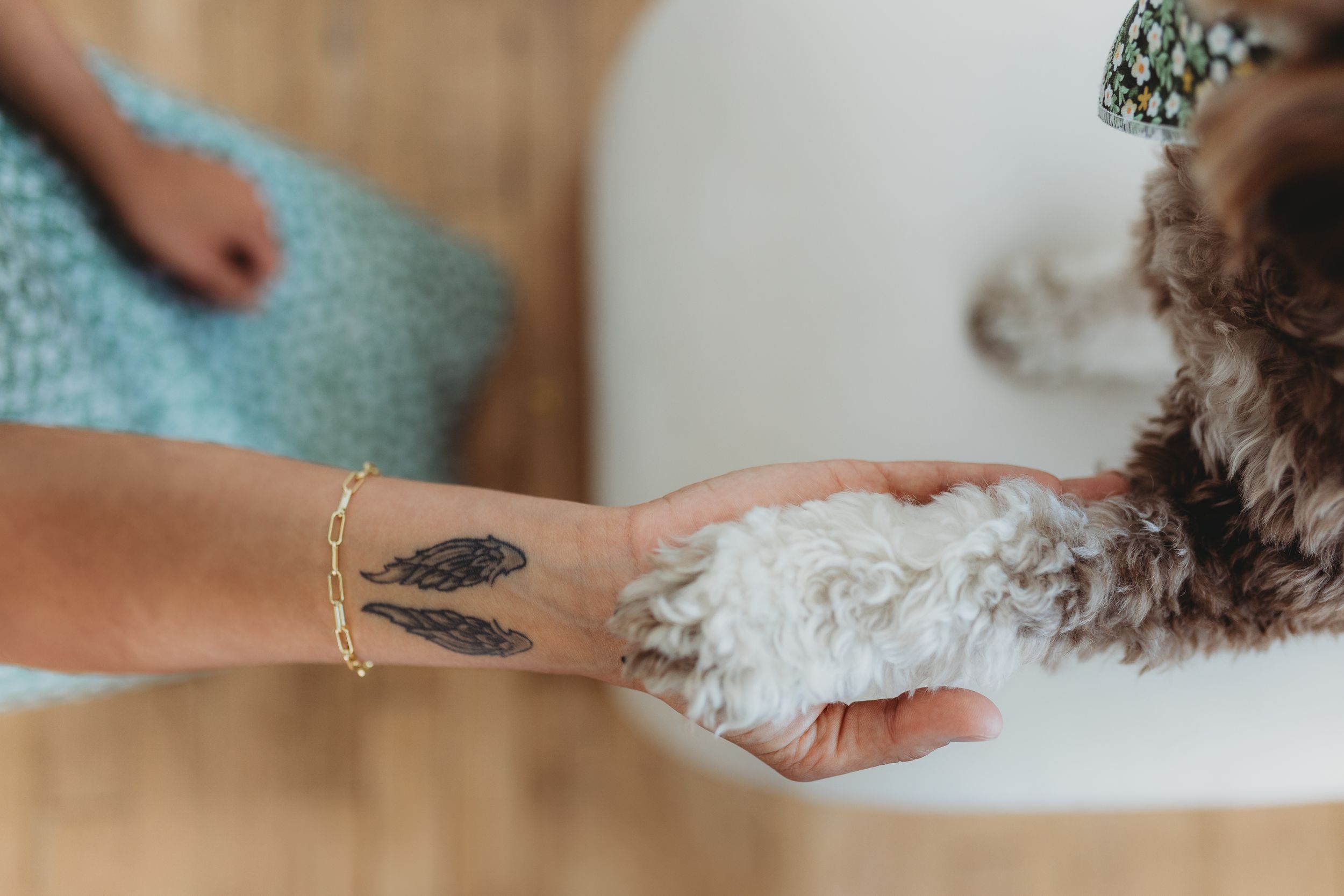 A dog's paw meets a person's hand adorned with a feather bracelet on a hardwood floor.