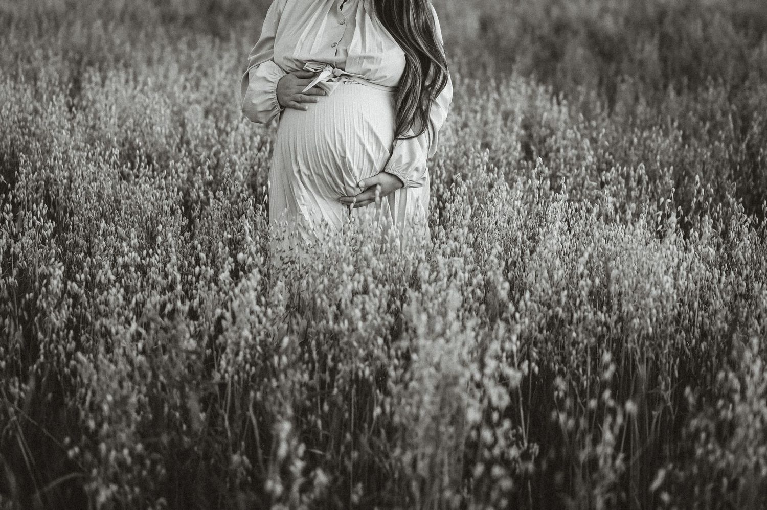 Portrait de maternité en noir et blanc d’une femme enceinte parmi de hautes fleurs sauvages dans une prairie.