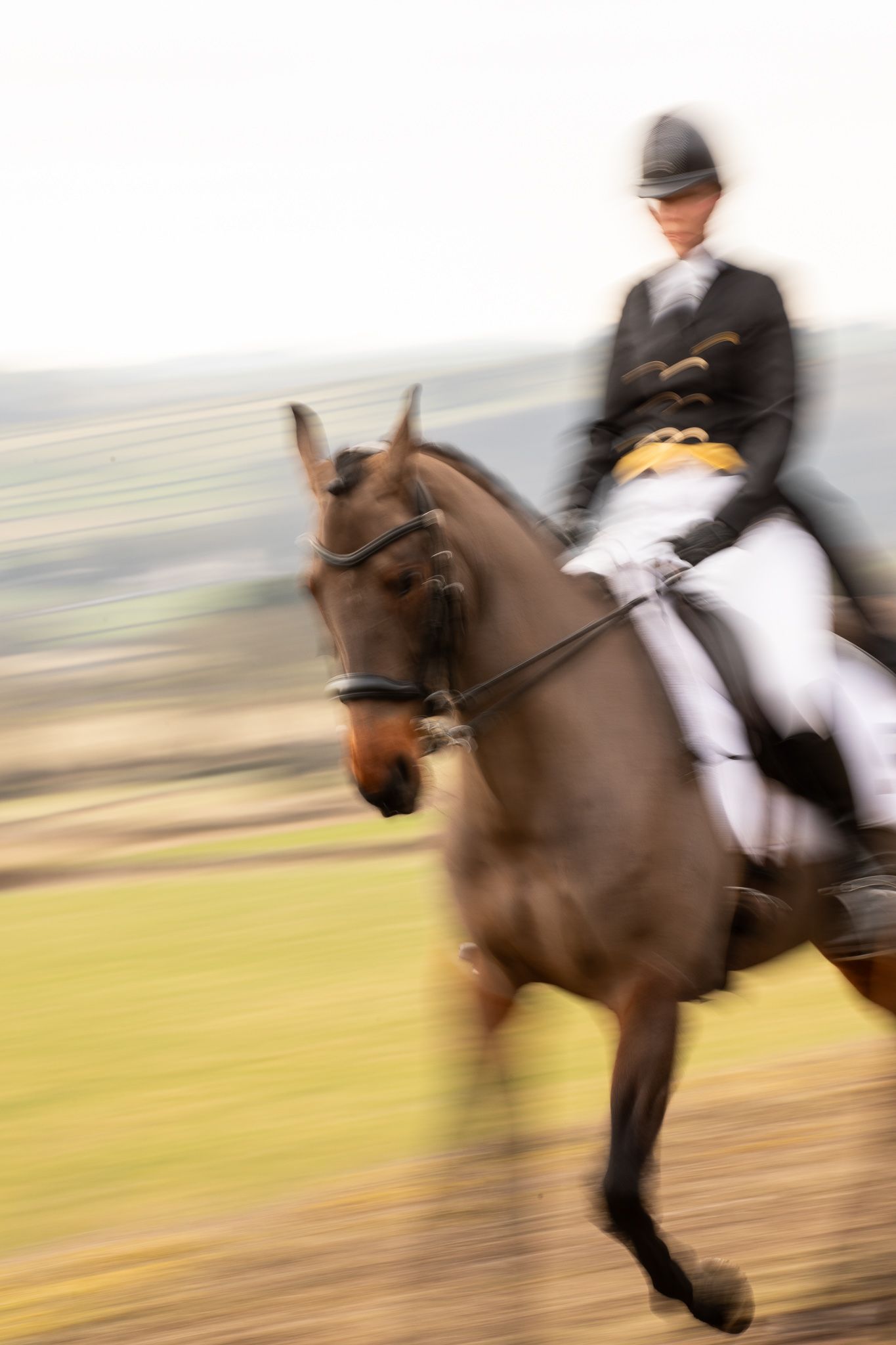 Equestrian rider in formal attire competing on a brown horse with motion blur effect creating dynamic movement.