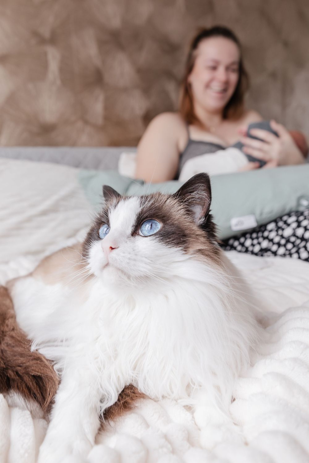 Huisdier (kat) bij newbornreportage op bed.