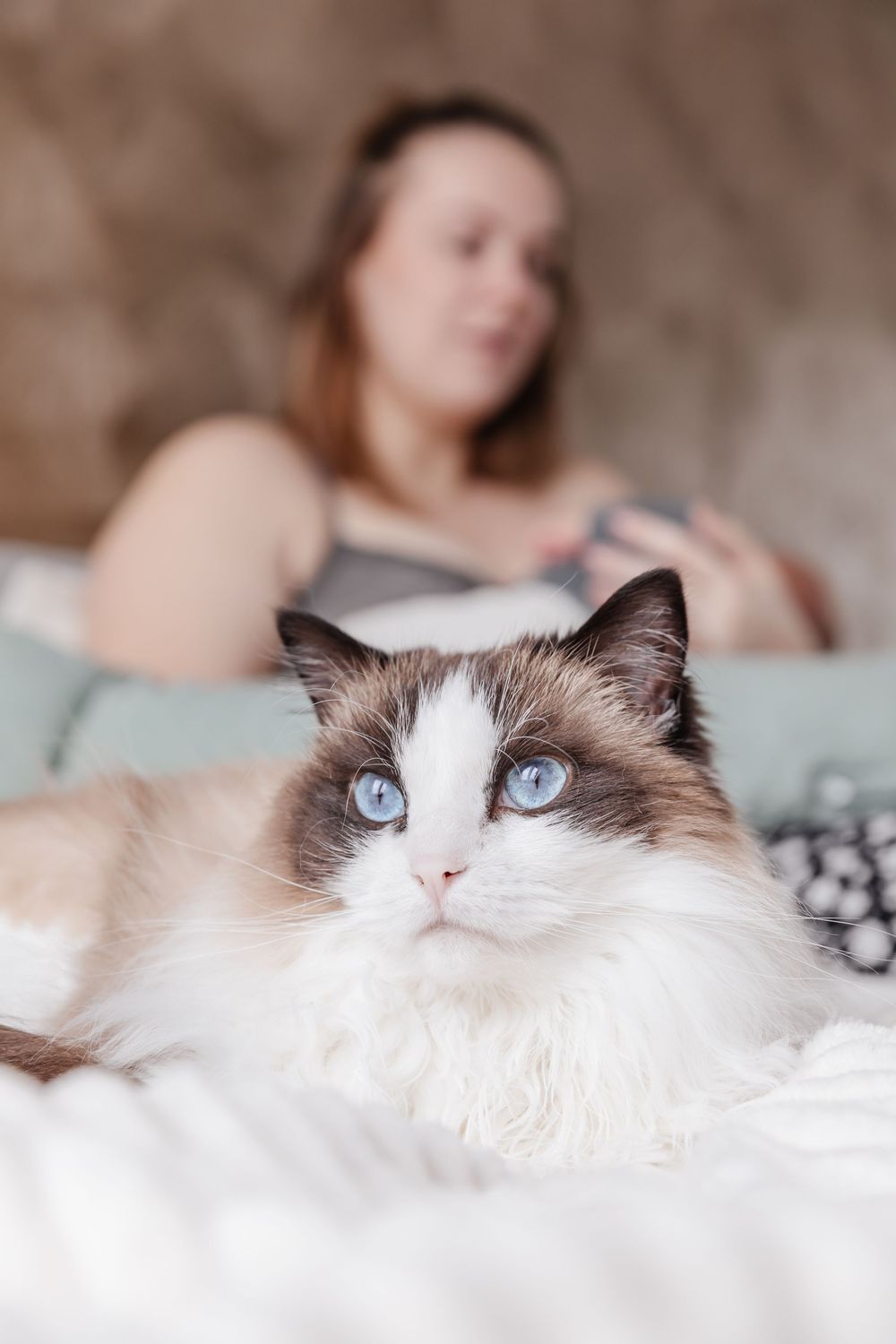 Huisdier (kat) bij newbornreportage op bed.