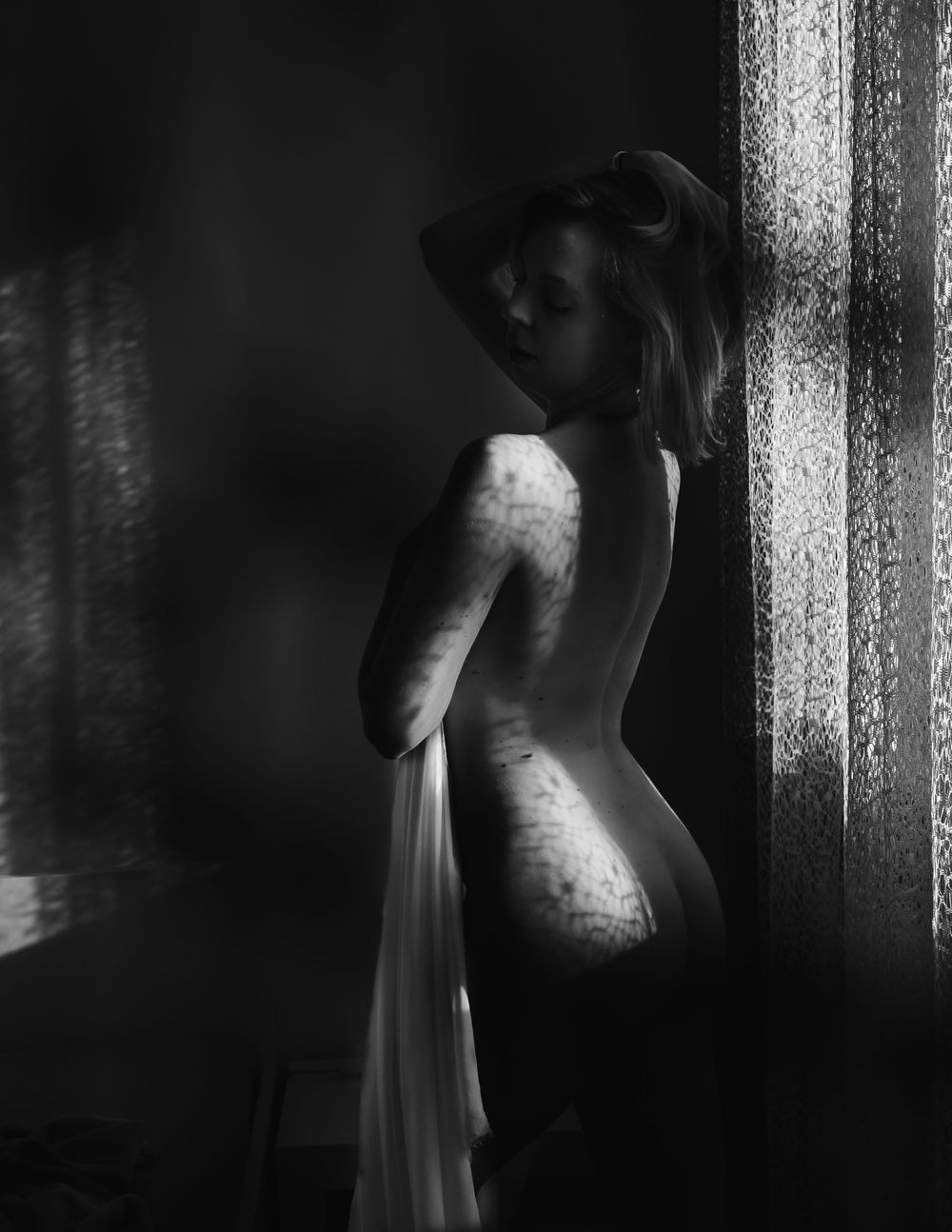 Umjetnička boudoir silueta