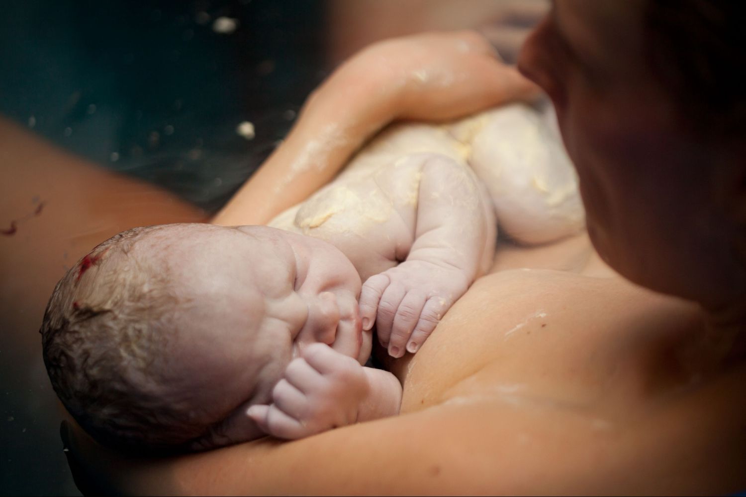 Gentle black and white portrait of newborn baby's tiny features.
