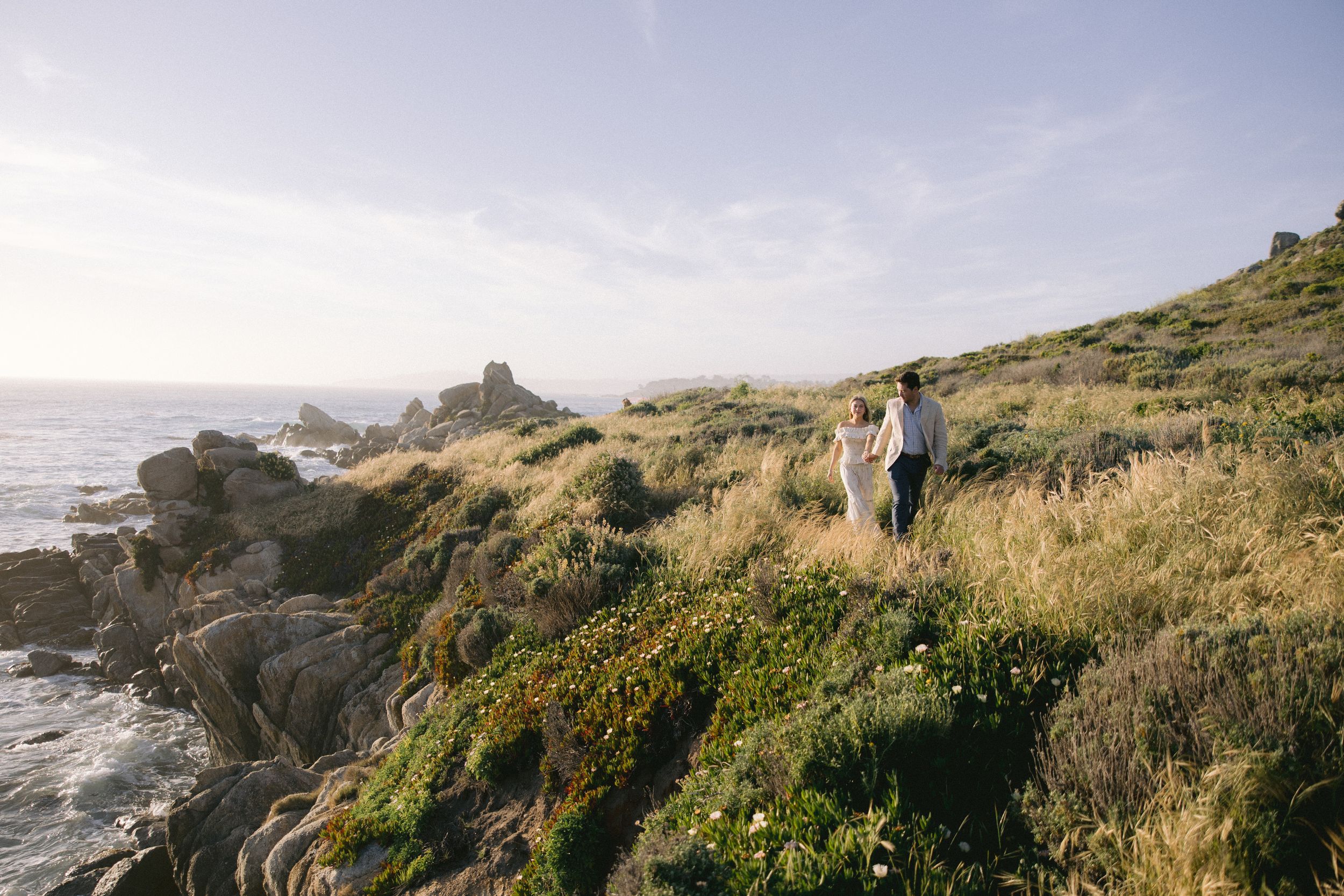 Person standing on coastal cliffs overlooking the rocky Pacific shore and grassy hillside on a sunny day.