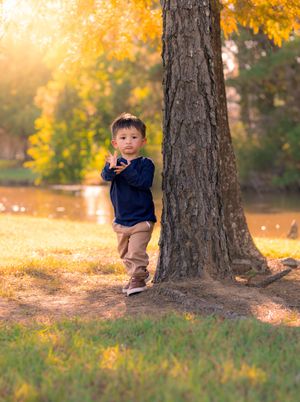 A child plays and peeks around a large tree trunk in a park with golden autumn leaves scattered on the ground. In Houston, TX
