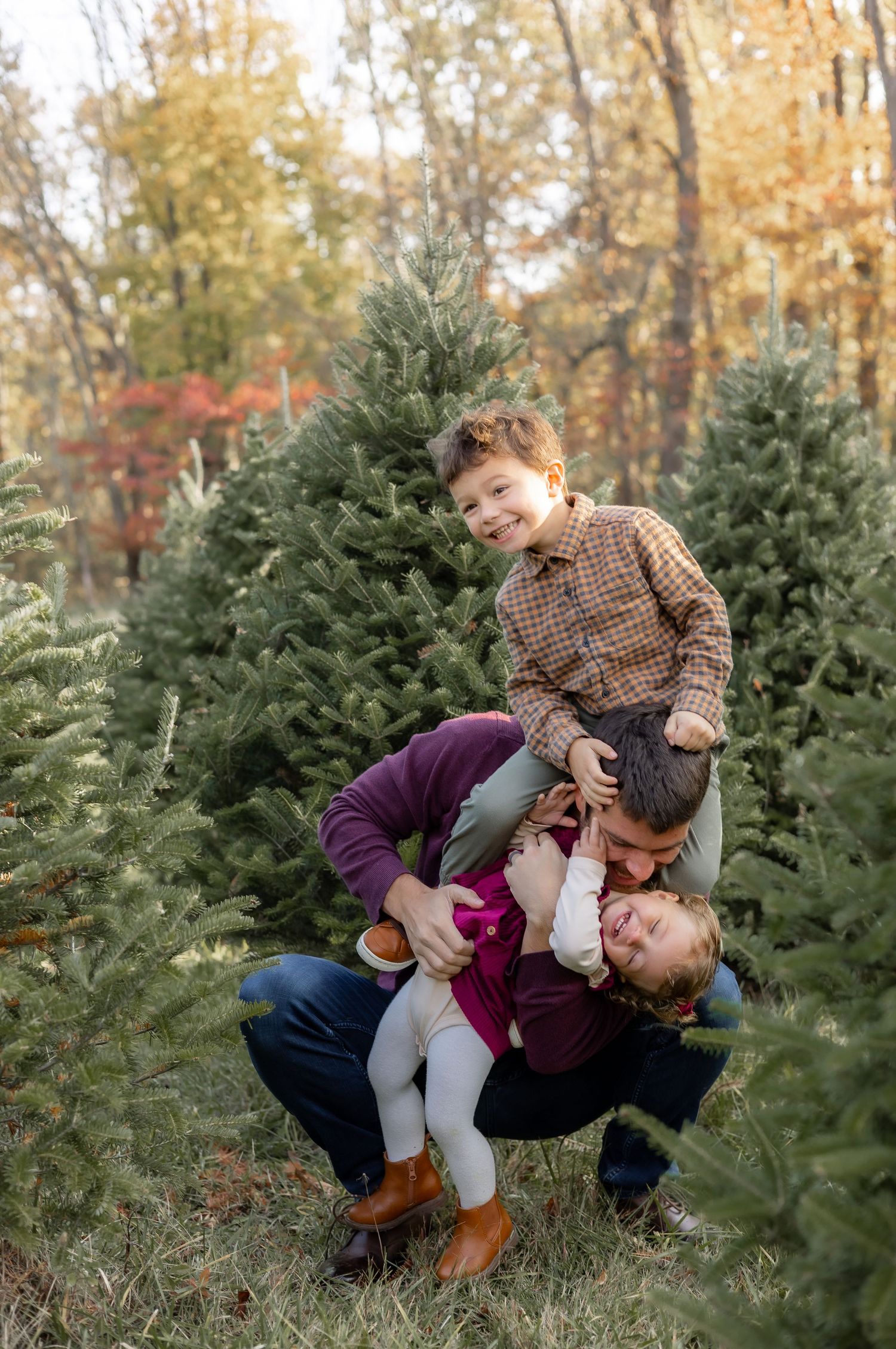 A playful moment between people among evergreen Christmas trees during autumn with fall foliage in the background.