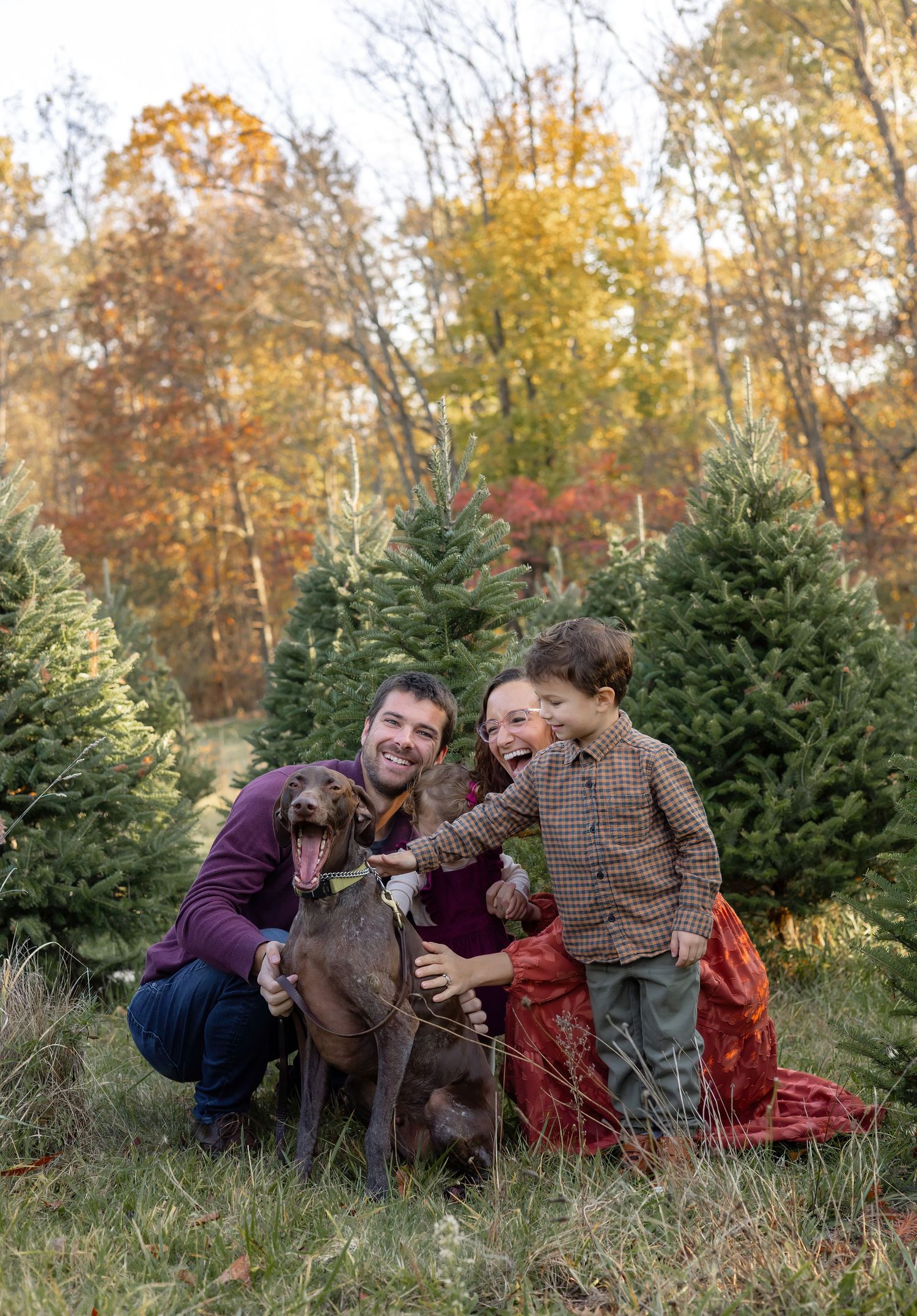 Family and their chocolate labrador dog pose playfully together in front of evergreen trees during autumn.