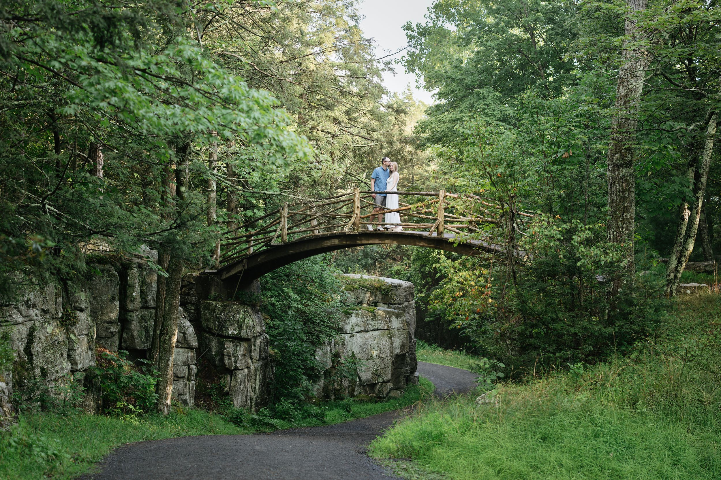 A winding dirt path leads through a lush green forest with tall trees and dense foliage on both sides.