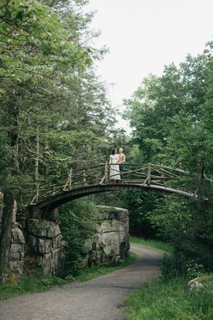 A rustic wooden footbridge with stone supports spans a path through lush green forest in a scenic park setting.