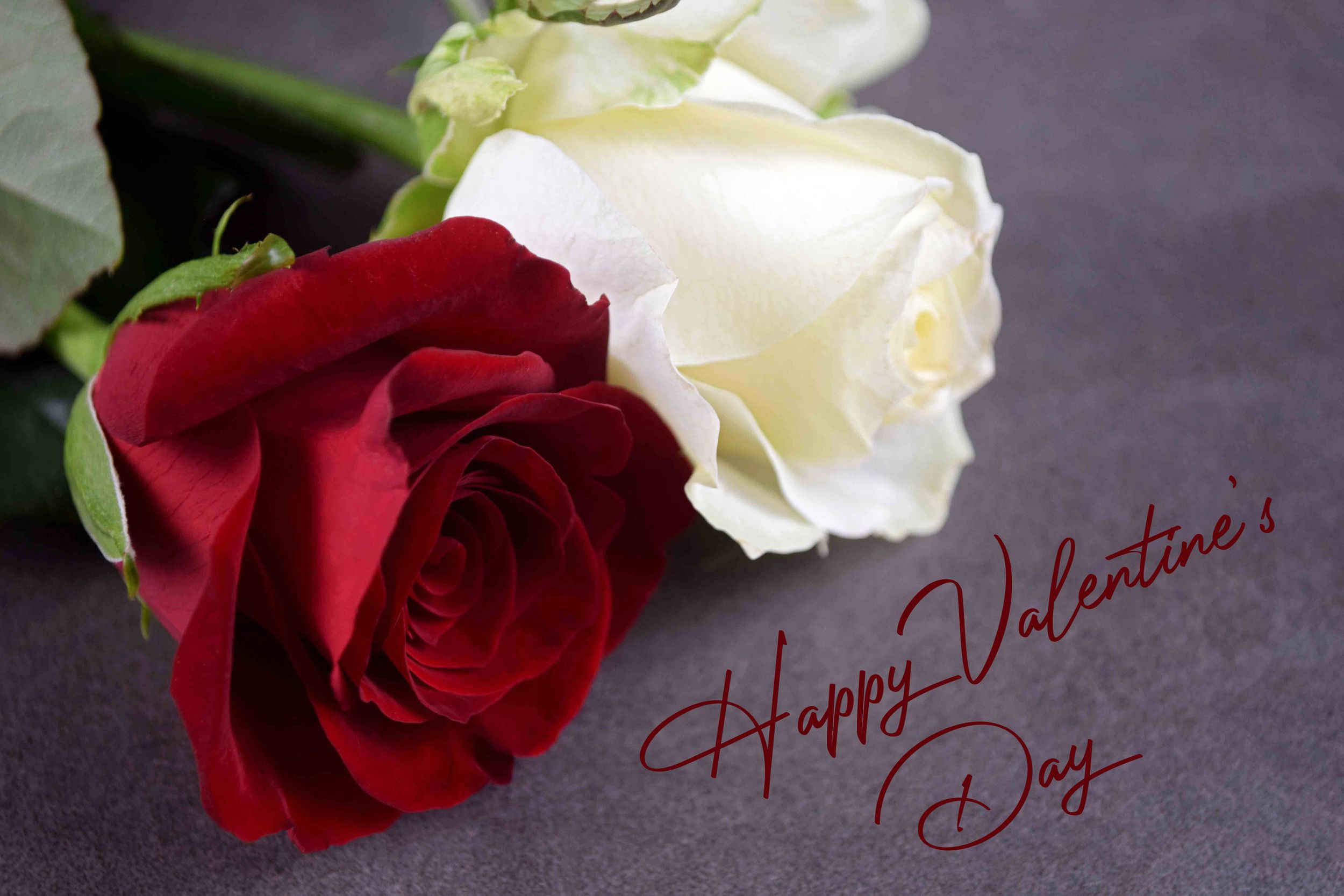 Happy Valentines