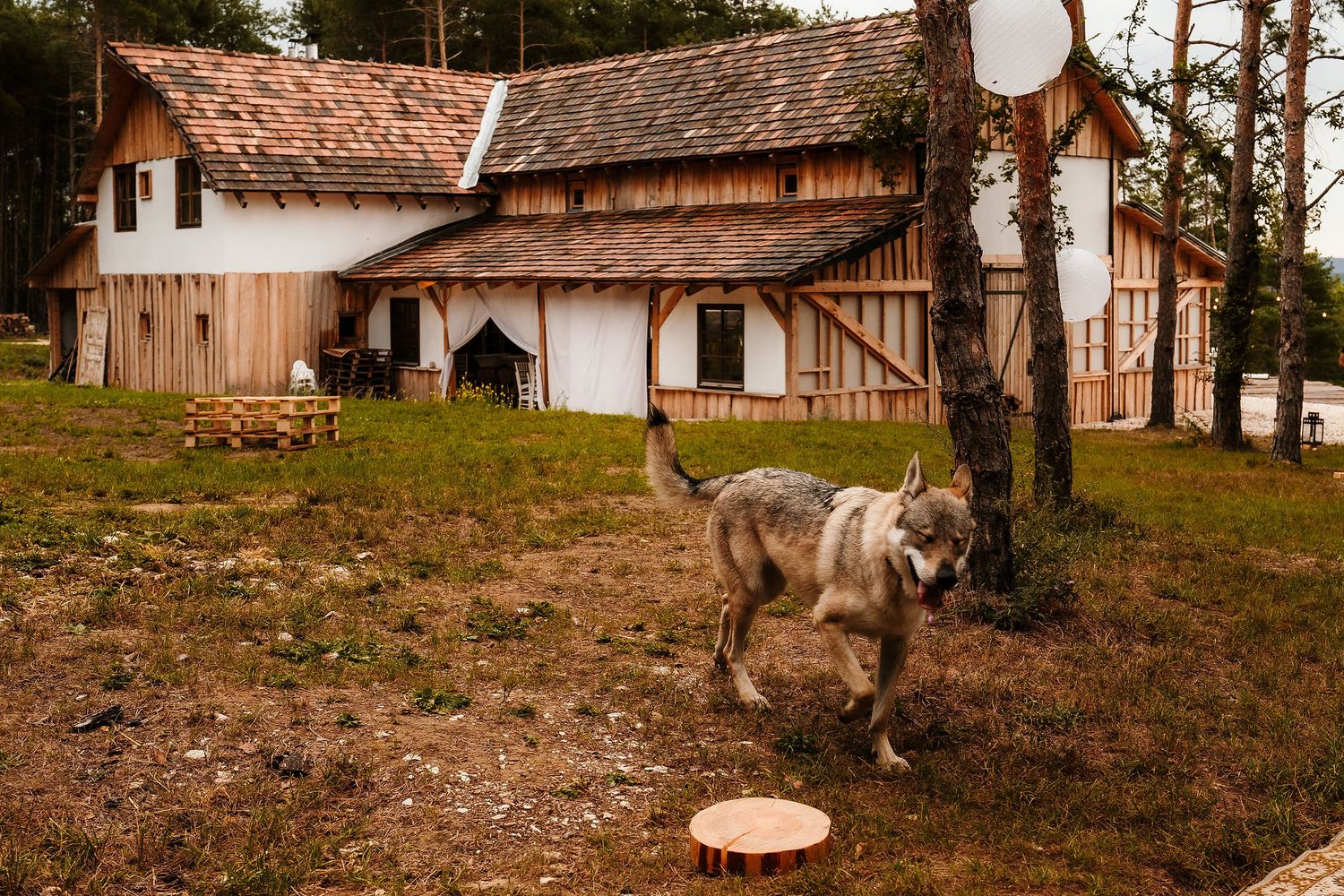 Rustic farmhouse with wooden siding and a dog in the front yard.