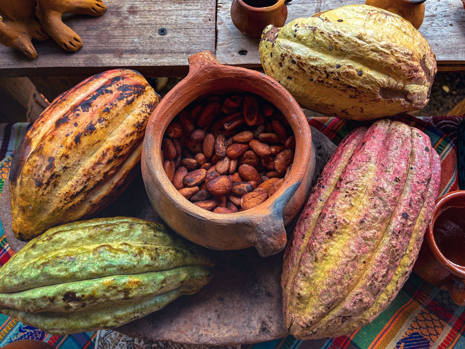 Cacao Tour, Lanquin